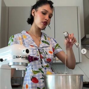 Lisa says gah Alexa Shirtdress - Picnic Alfresco gingham M medium